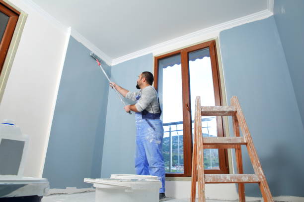 Reliable New Baltimore, MI Dry wall and painting Solutions